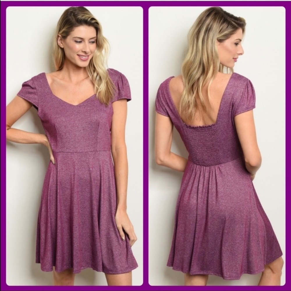 NWT Rose Skater Dress